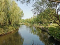 -上海滨江森林公园