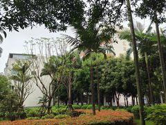 -厦门大学(思明校区)