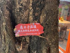 -陶缘一号·四季缘·老字号顺德菜·户外婚礼家宴(西滘店)