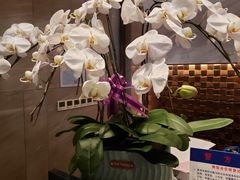 -大连星海皇冠假日酒店
