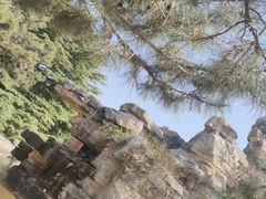 -石家庄市植物园