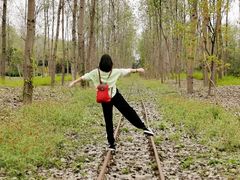 -合肥滨湖国家森林公园