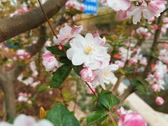 -元大都城垣遗址公园