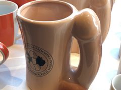 -冰岛阴茎博物馆