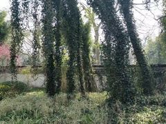 -采石矶景区