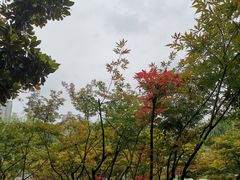 -后襄河公园