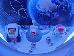 -湖南省地质博物馆