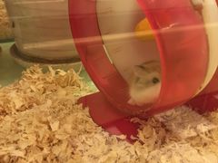 -龙猫仔乐园(惠福东路店)