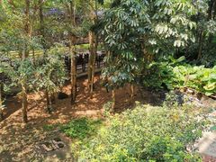 -锦湖农庄(松山湖梦幻百花洲店)