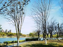 -白塘生态植物园