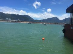 -信德中旅船务管理有限公司