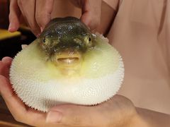 -永安鱼庄·镇江菜(丁卯店)