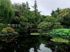 -秋霞圃