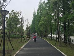 -江湾体育中心游泳馆