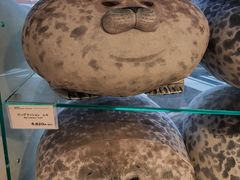 -大阪海游馆
