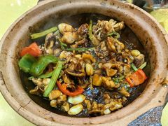 啫啫好味牛蛙-天宝食坊·啫啫煲大排档(西华路店)