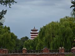 -思念果岭悦温泉