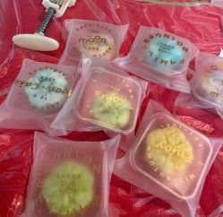 -艾薇朵朵全套房月子中心(江宁店)