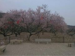 蒙山大佛-蒙山大佛景区