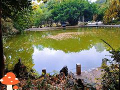 -人民公园(罗湖区)