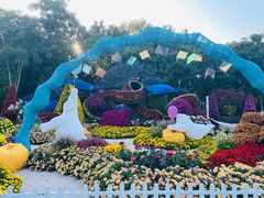 -上海共青森林公园