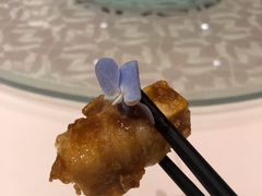 -桃源春晓中餐厅 TaoYuan Restaurant