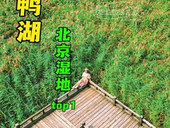 -沉浸北京·团建旅行·密室剧本杀·年会会议轰趴拓展