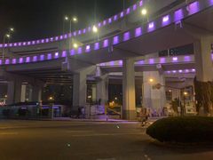 -新疆阿力烧烤