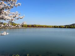 -羊山湖公园