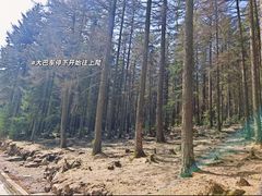 -芦芽山旅游度假区