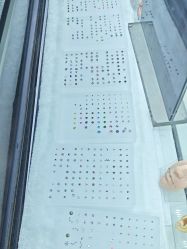 -众刺纹画·纹身·穿孔饰品·海娜定制