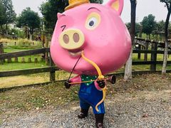 -田园东方蜜桃村的田野营地