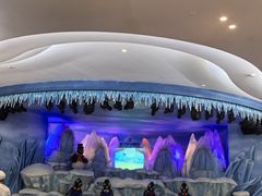 -帝企鹅自助餐厅•儿童岛•真企鹅(长隆企鹅酒店)