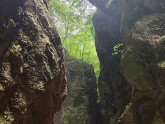-牛背梁国家森林公园