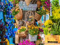-沂蒙山旅游区龟蒙景区