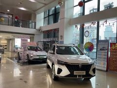 -上汽荣威体验中心(徐汇东安路店)