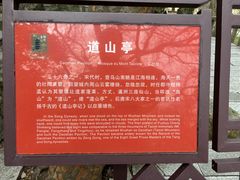 -乌山风景区
