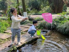 -重庆彩云湖湿地公园