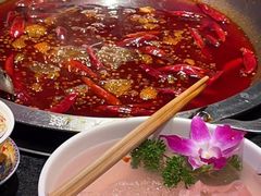 -大龙燚火锅(南山大道店)