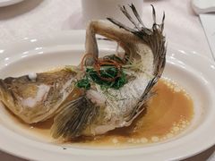 -绿岛国际酒店·海鲜酒楼(八七路店)