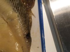 -星海汇海鲜烤肉火锅自助(二七广场百年德化店)
