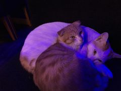 -星宿秘码(鼓浪屿老店)