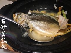 百秒黄花鱼-莆田餐厅PUTIEN(三里屯店)