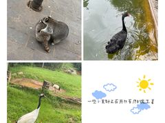 -云南野生动物园