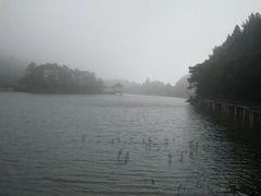 -庐山风景区花径公园