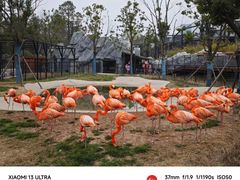 -武汉动物园