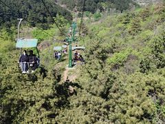 -磬锤峰森林公园