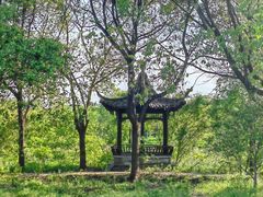-扬州芍药园(仪征市)