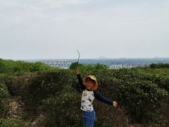-南京市江宁方山