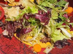 捷克农家沙拉-布拉格餐厅· 中欧捷克菜(全国首店)